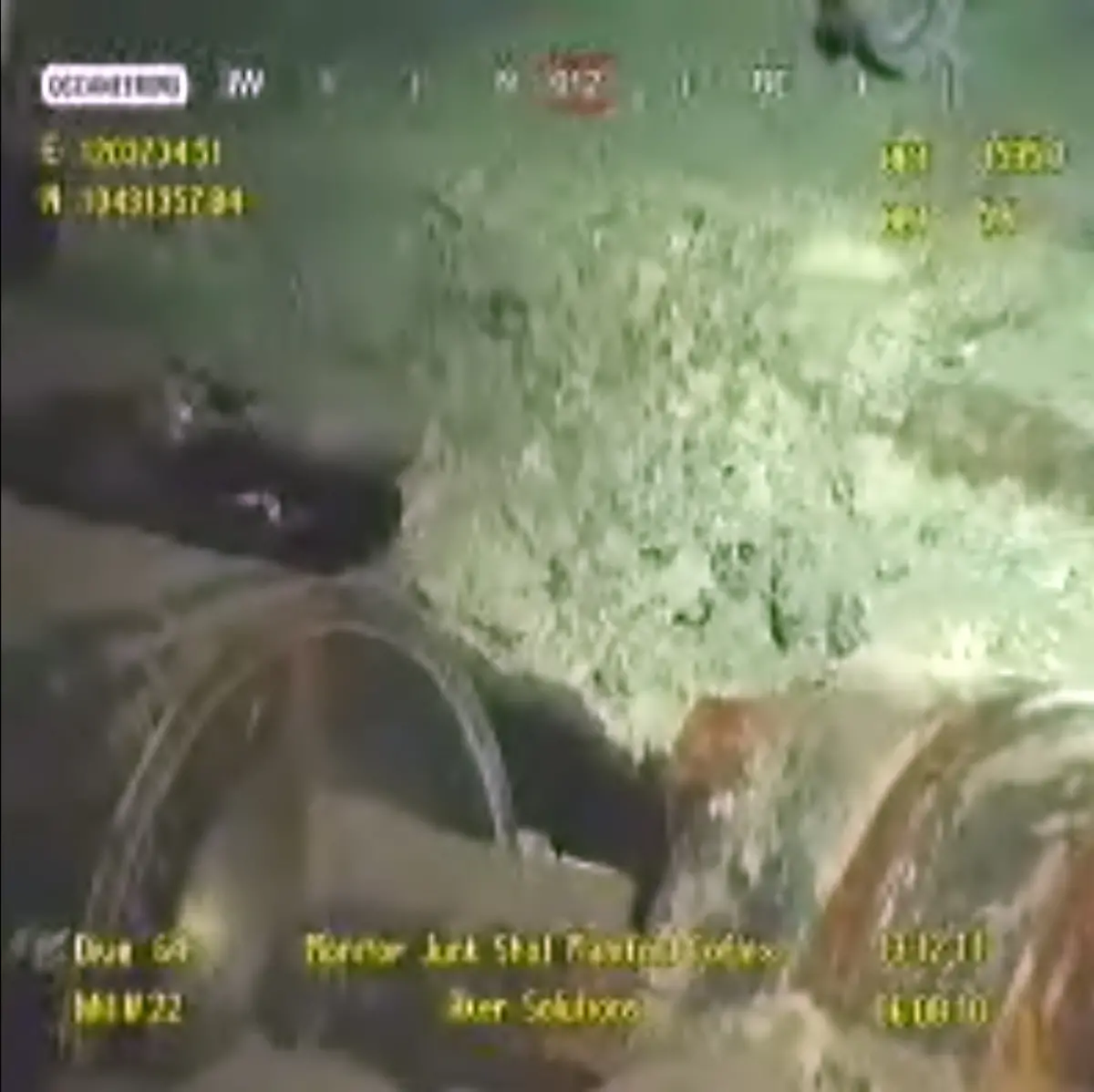 2ska2323-jpg4359316420764392865