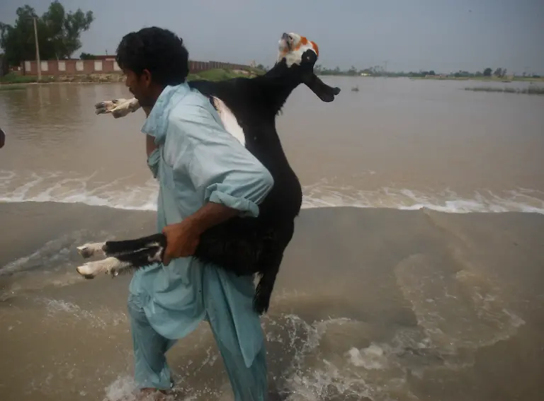 Pakistan-Floods-MUL103-jpg4538528842078133539