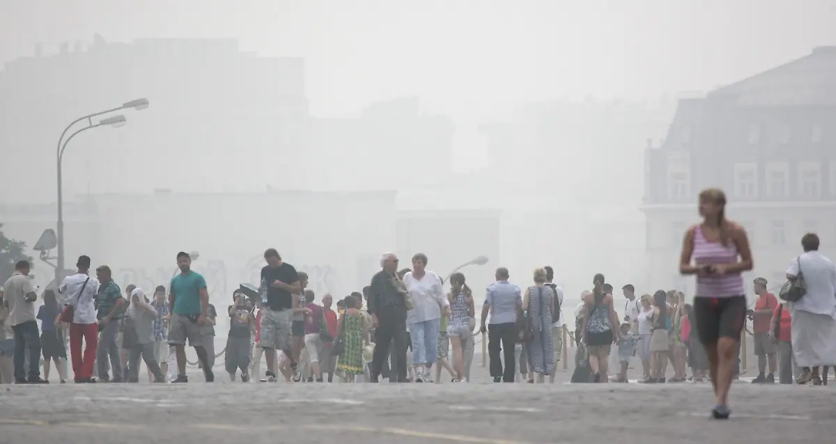 2siz1416-jpg3218911530174586518