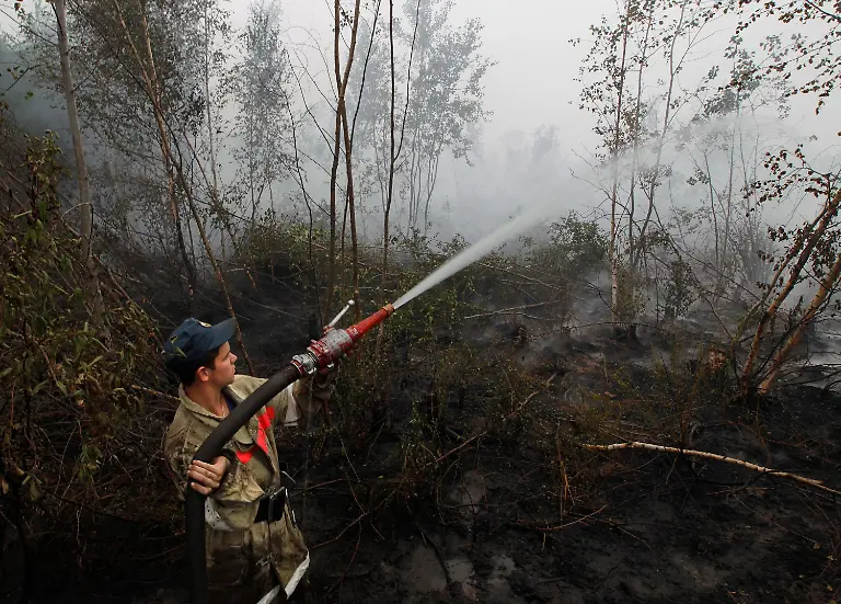 2shs1130-jpg7869809279260414742