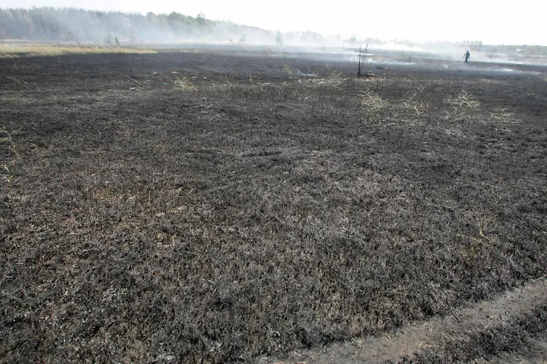 APTOPIX-Russia-Fires-XMM110-jpg1088514810377815636