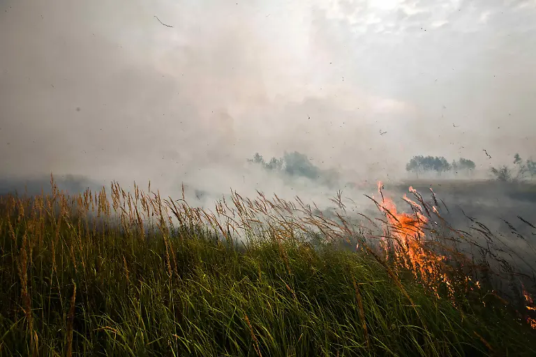 Russia-Fires-MOSB130-jpg5544998197708862469