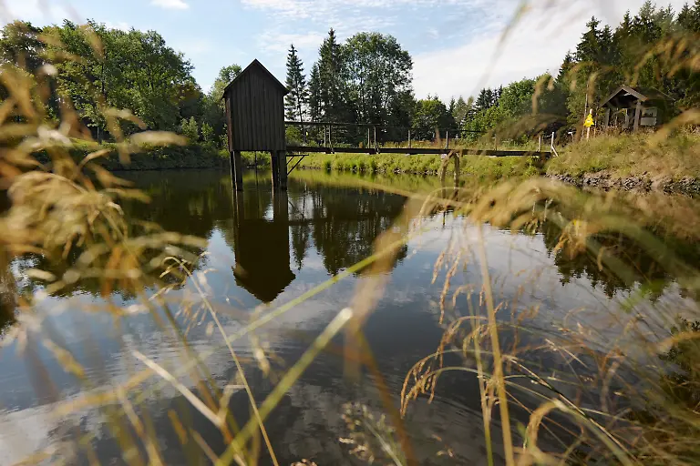 2sh13812-jpg7482883592179048878