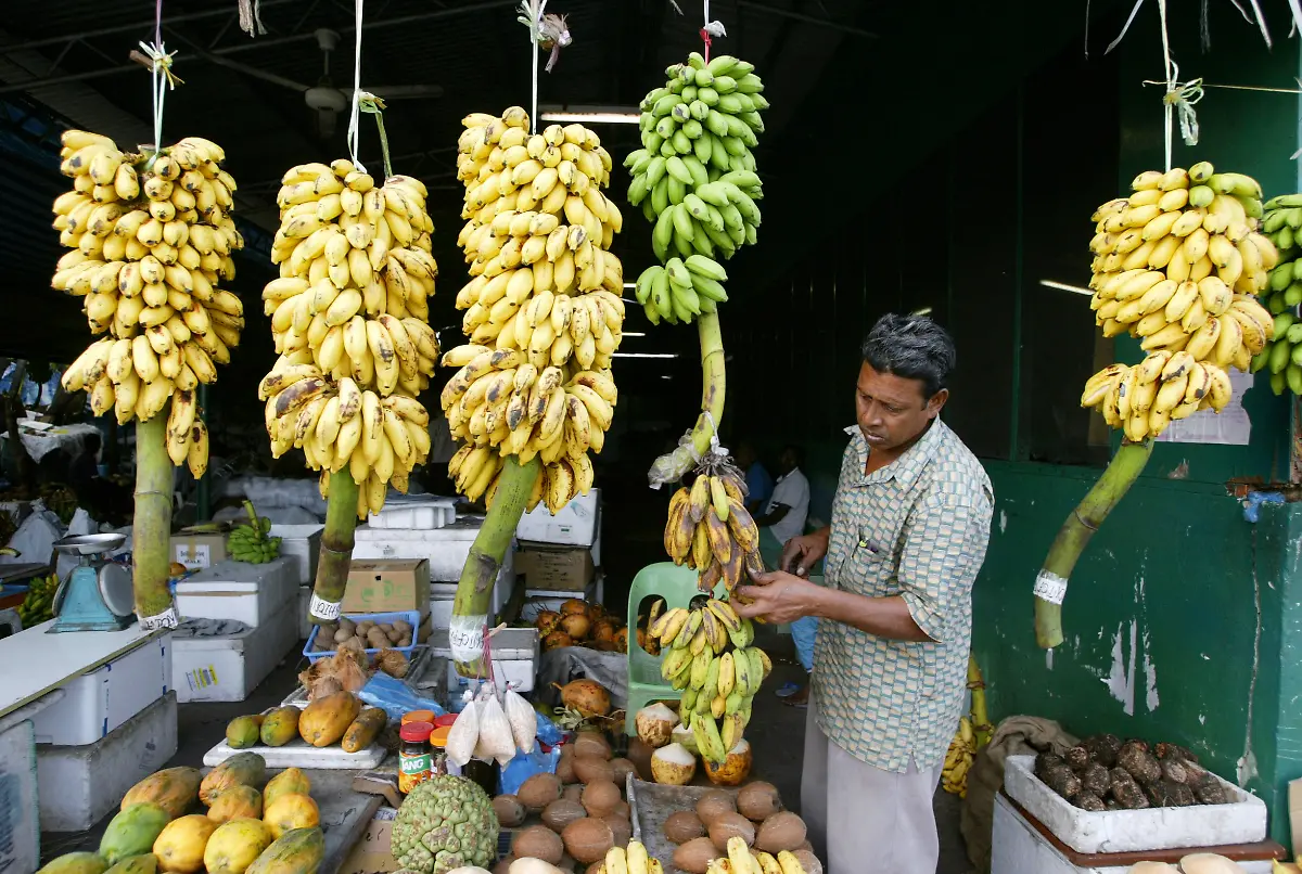 malediven-obst