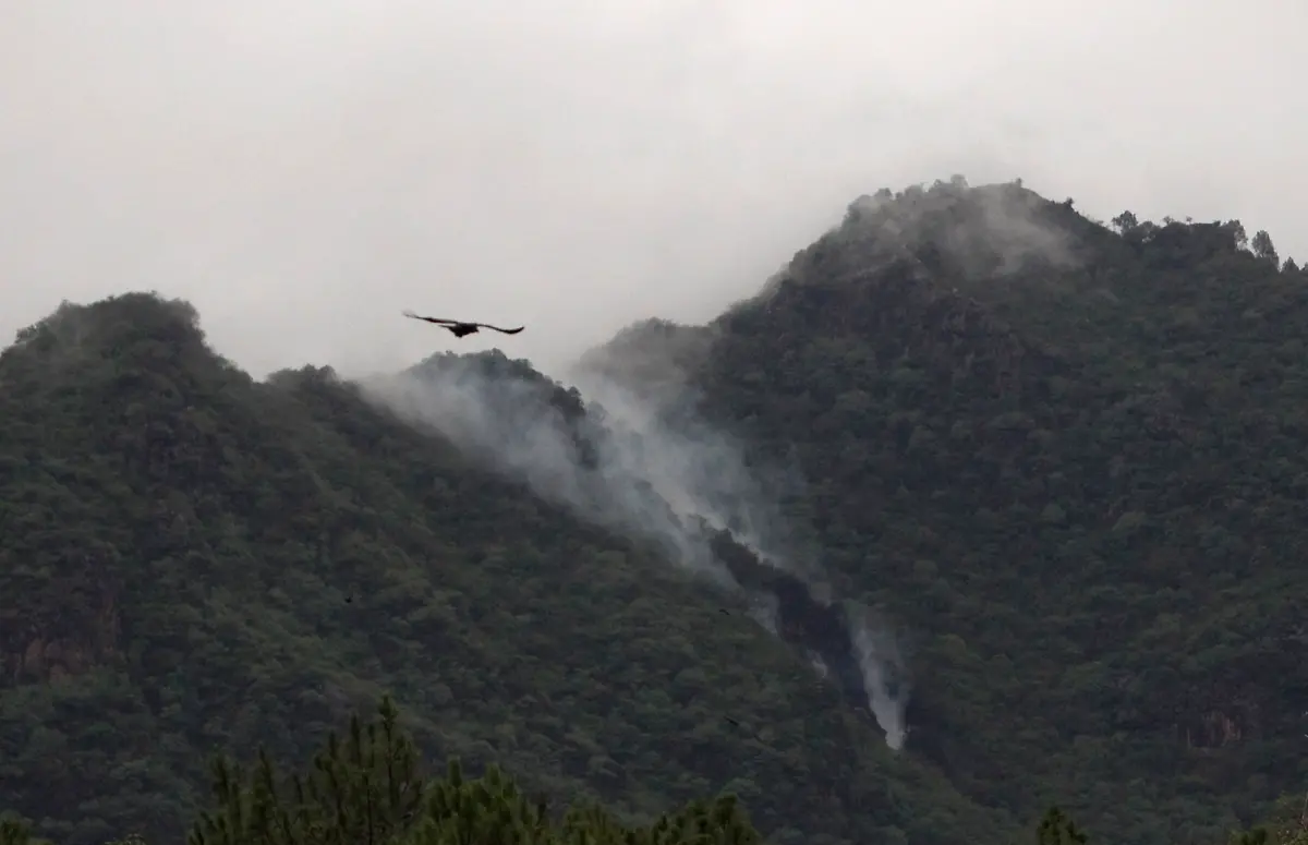 2010-07-28T073152Z-01-ISL01-RTRMDNP-3-PAKISTAN-PLANE-CRASH-JPG8972168265465056835