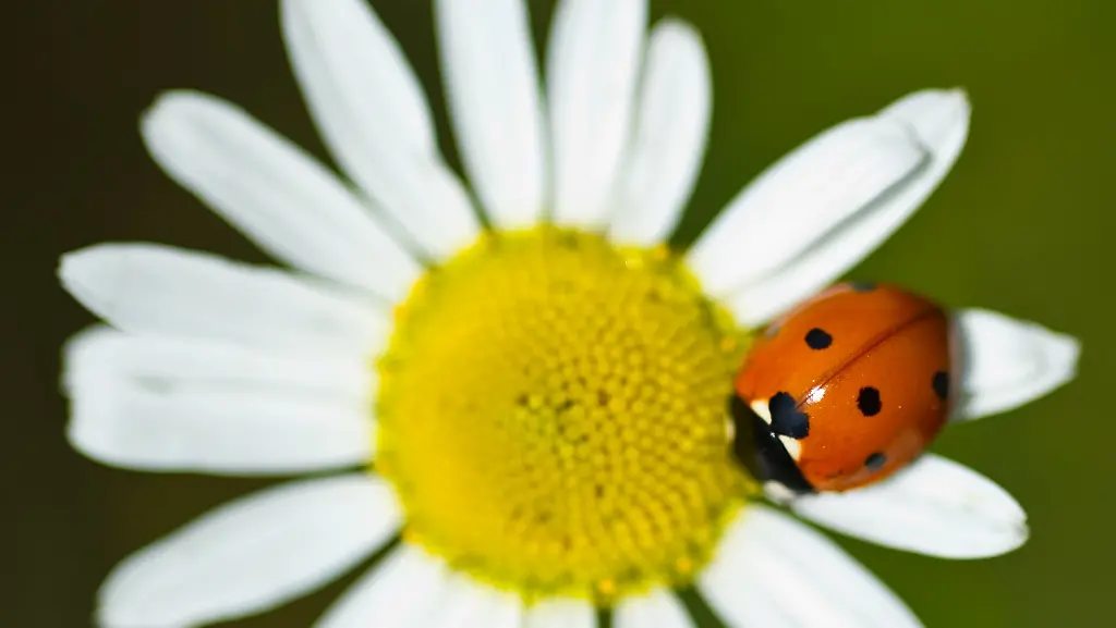 2sdl2802-jpg5649262527243214626