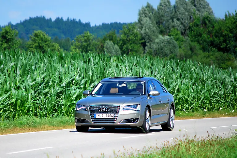 Audi-A8-Lang-19-07-2010-11-17-04