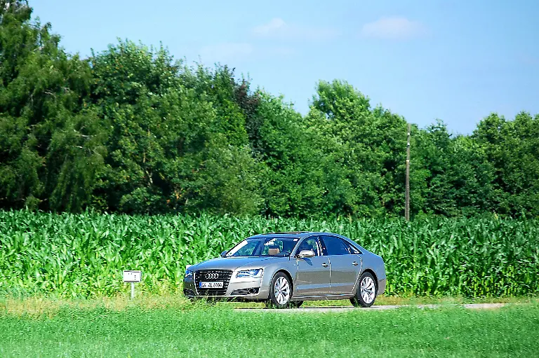 Audi-A8-Lang-19-07-2010-10-56-29