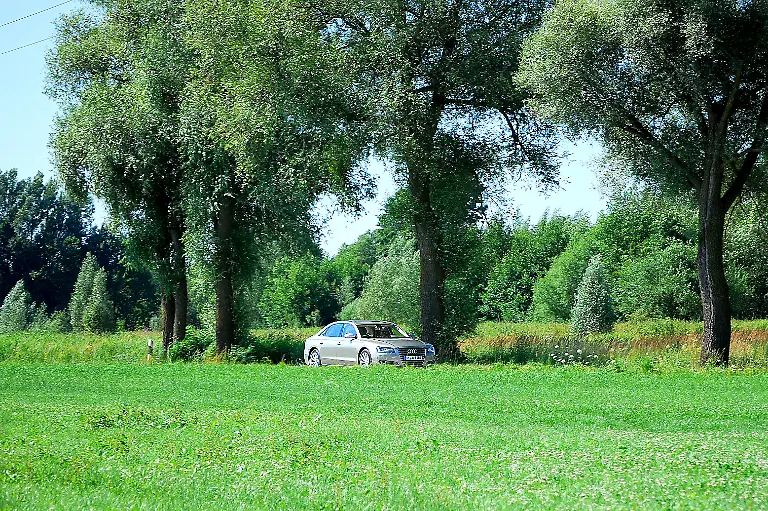 Audi-A8-Lang-19-07-2010-10-55-31