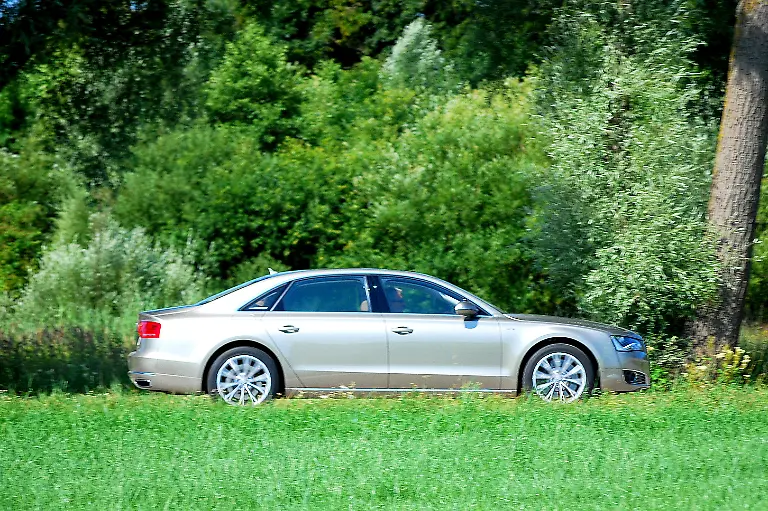 Audi-A8-Lang-19-07-2010-10-55-24