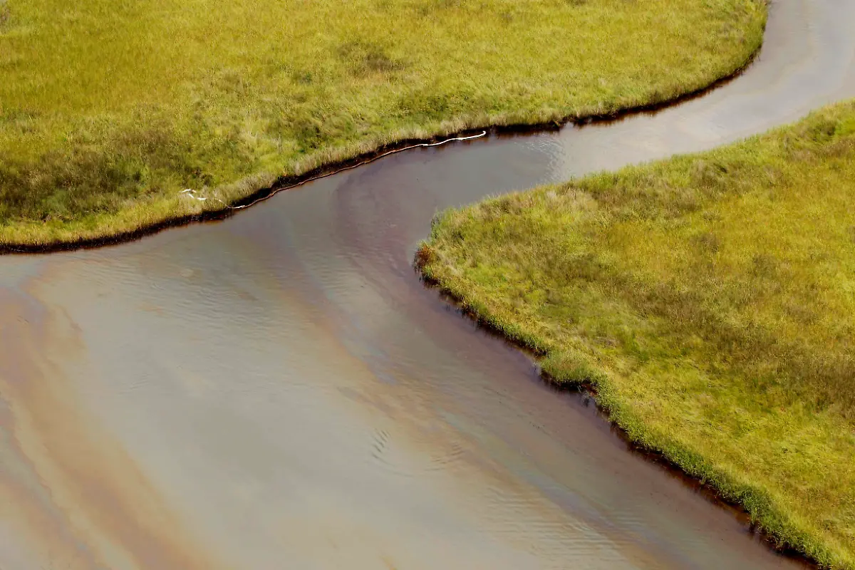 Gulf-Oil-Spill-Now-What-NY114-jpg4545543652516589785