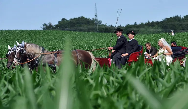 2s542252-jpg578008227900625659