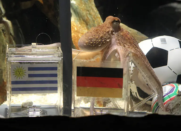 2s1p0647-jpg1856919779519496947