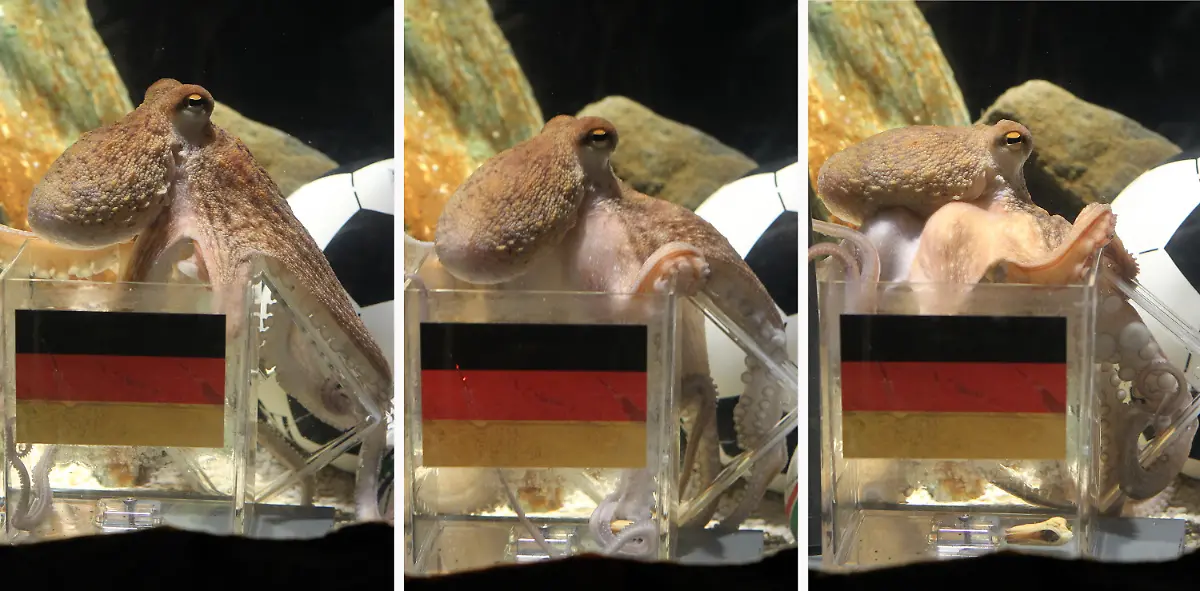 2s1p1029-jpg4345782721607393870