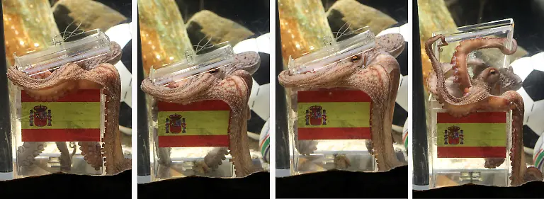 2s1o4124-jpg5079950458669563426