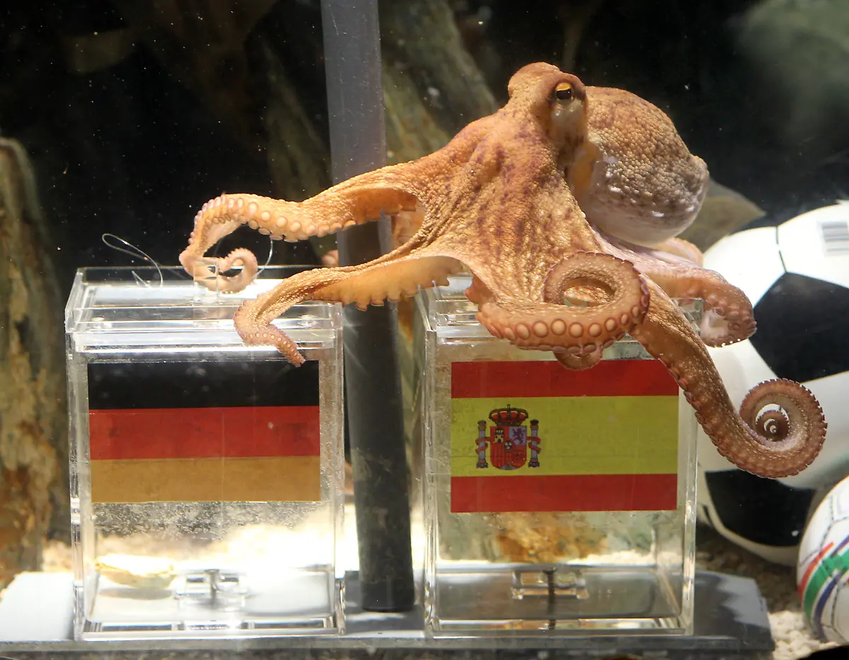 2rzp3304-jpg8178420039031911176