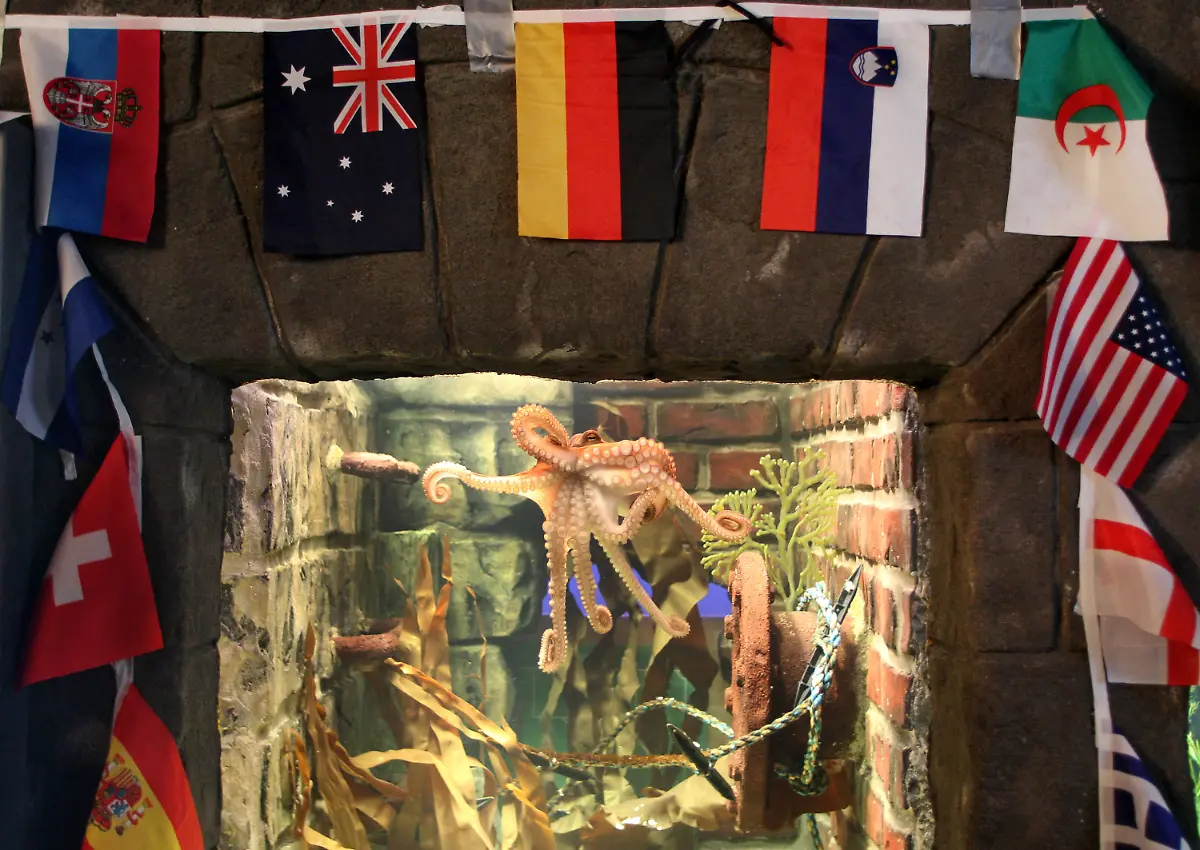 2rzp3434-jpg8884892226081599623