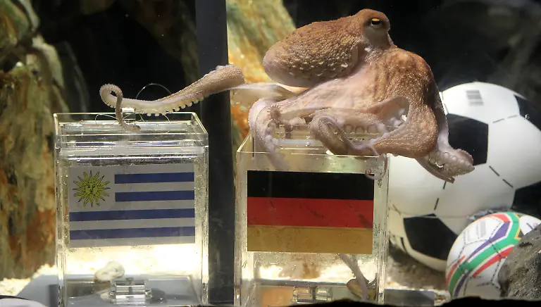 2s1p0712-jpg3583924288497705608