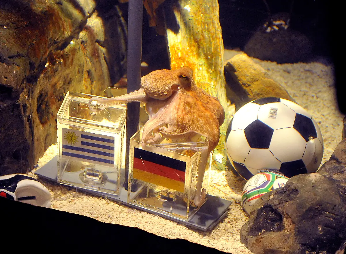 2s1p5427-jpg1636939610510566536