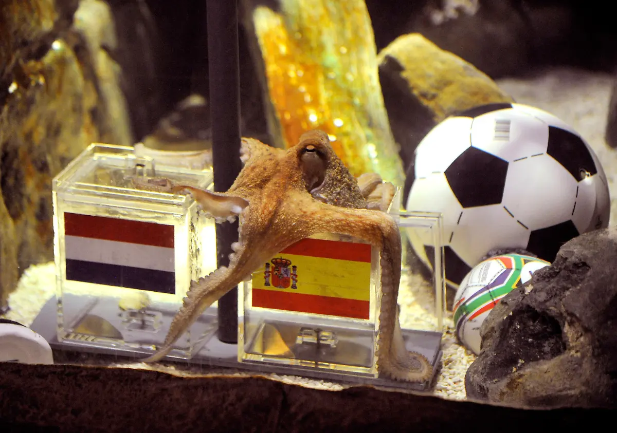 2s1p5712-jpg735001746196248309