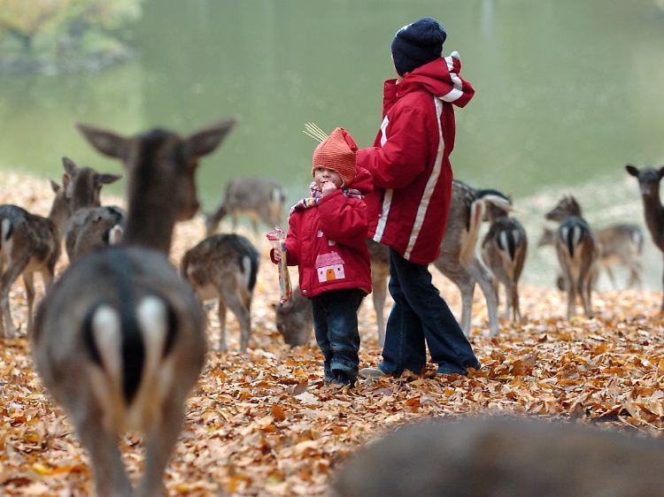 ... oder Rehe füttern bspw.