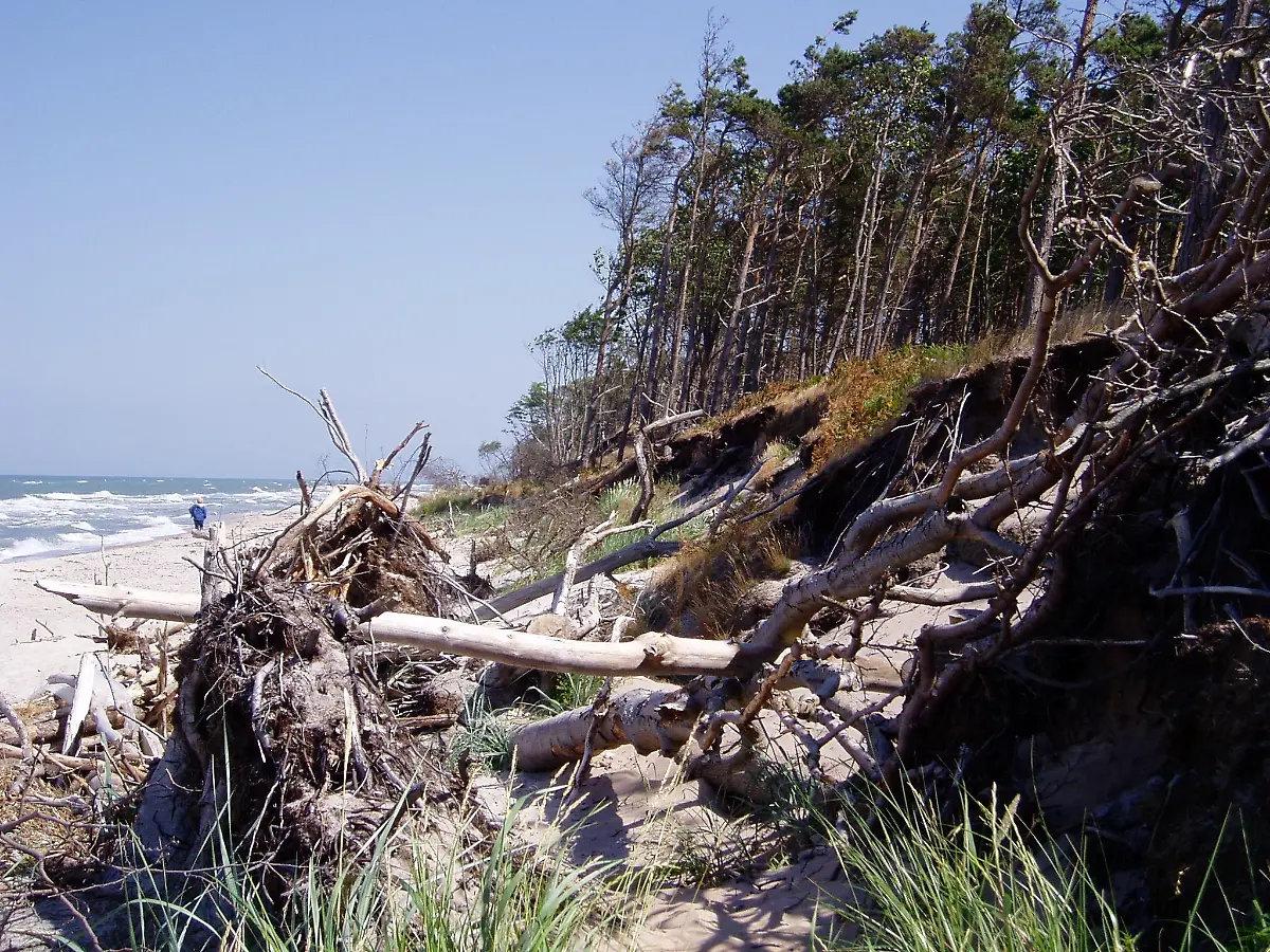 NLPVorpommern-Waldkampfzone-am-Dar-Aer-Weststrand-J-Bassek