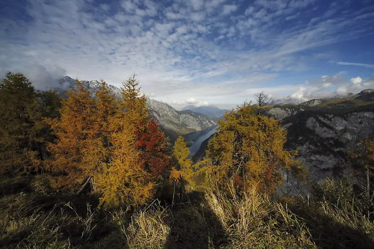 NLPBerchtesgaden-Blick-auf-den-Koenigssee