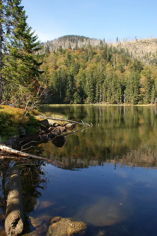 NLP-BayerischerWald-Rachelsee-Alice-Alteneder