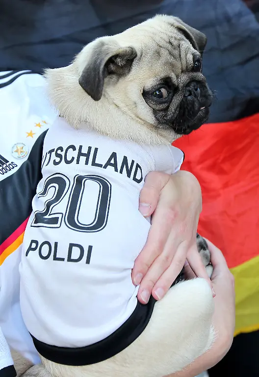 2rt81632-jpg2539268697329728239