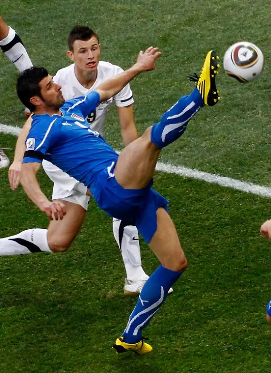 2010-06-20T160233Z-01-WCA463-RTRMDNP-3-SOCCER-WORLD-JPG4511445109723726574