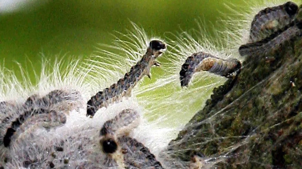 2rnh0116-jpg3381639181636693537