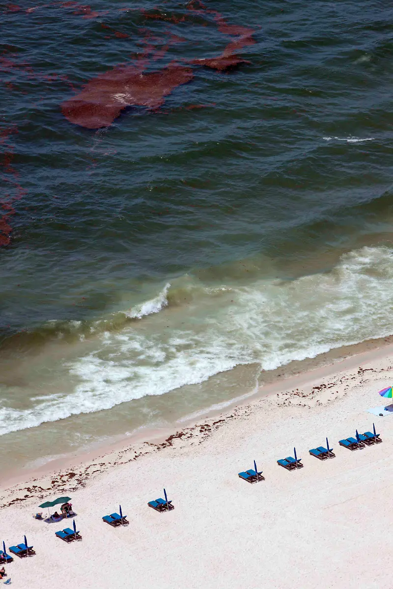 Travel-Oil-Spill-Vacations-NYLS502-jpg1594188574220416334