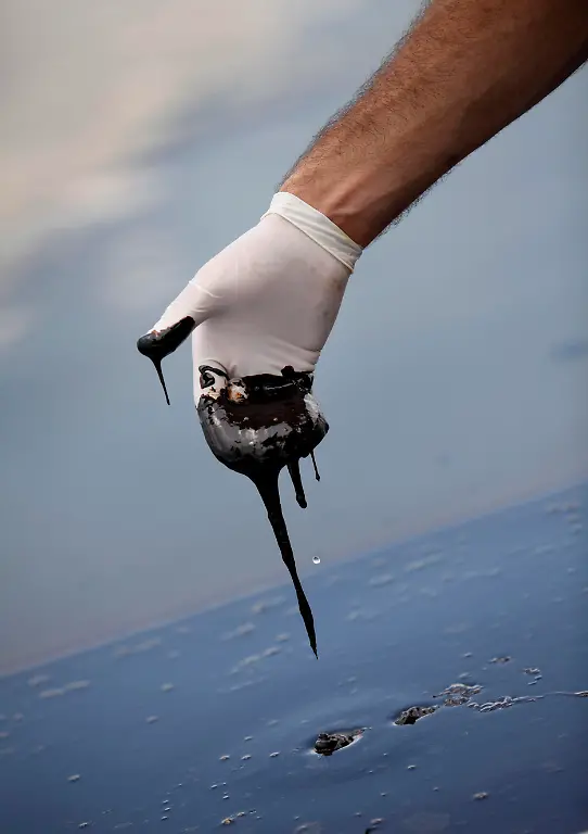 Gulf-Oil-Spill-LAGH106-jpg6266151342155775291