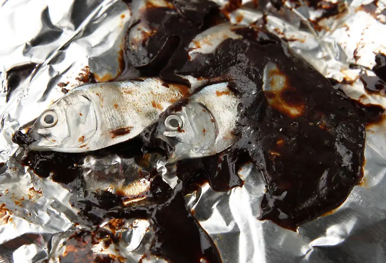 APTOPIX-Gulf-Oil-Spill-LAGH112-jpg4511399666509229648