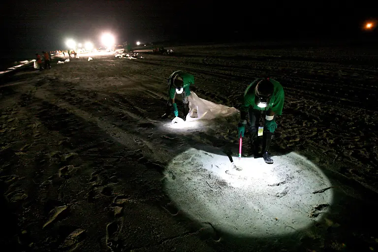 2rm82446-jpg8432996474300551197