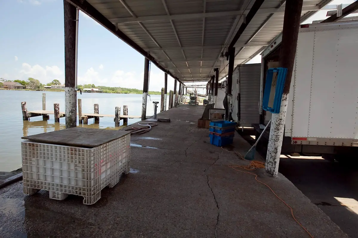 2rmw0820-jpg185249204089065931