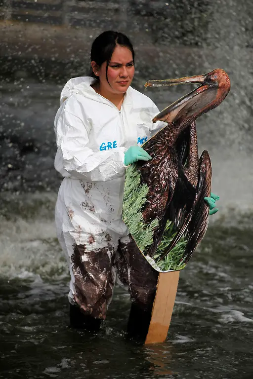 Mexico-Greenpeace-Protest-MXDL102-jpg6112851193798335471
