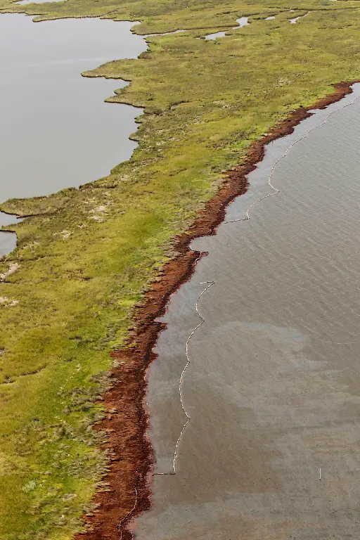 APTOPIX-Gulf-Oil-Spill-LAGH114-jpg607877503184982154