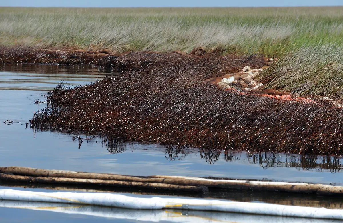 2rmv5057-jpg827521690724108583