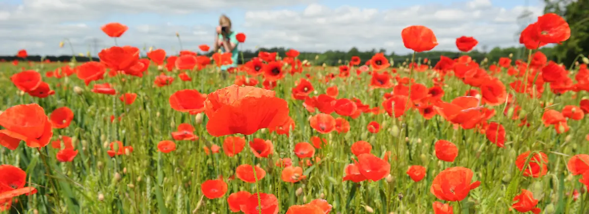 2rm50100-jpg2152609022140883468