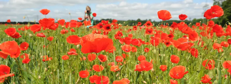 2rm50100-jpg2152609022140883468