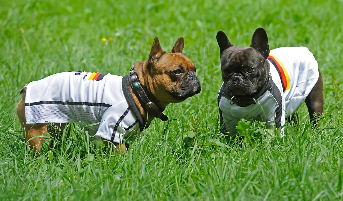 2rjq5002-jpg5348360515961408365