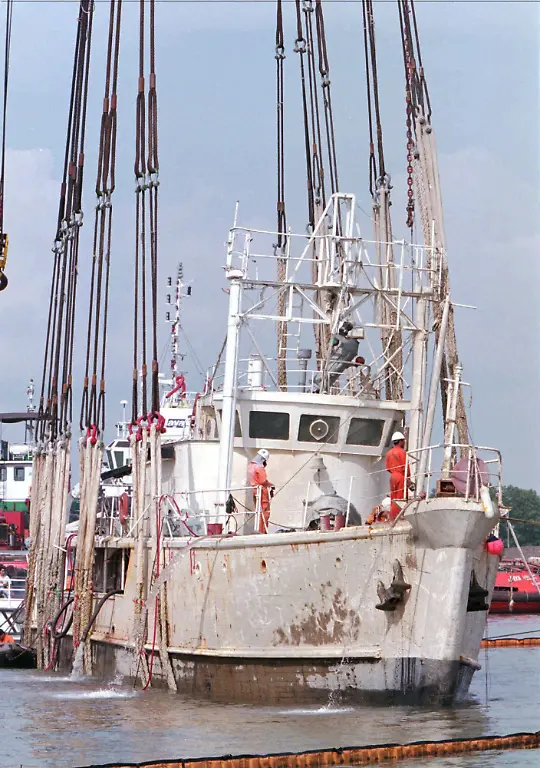calypso-3