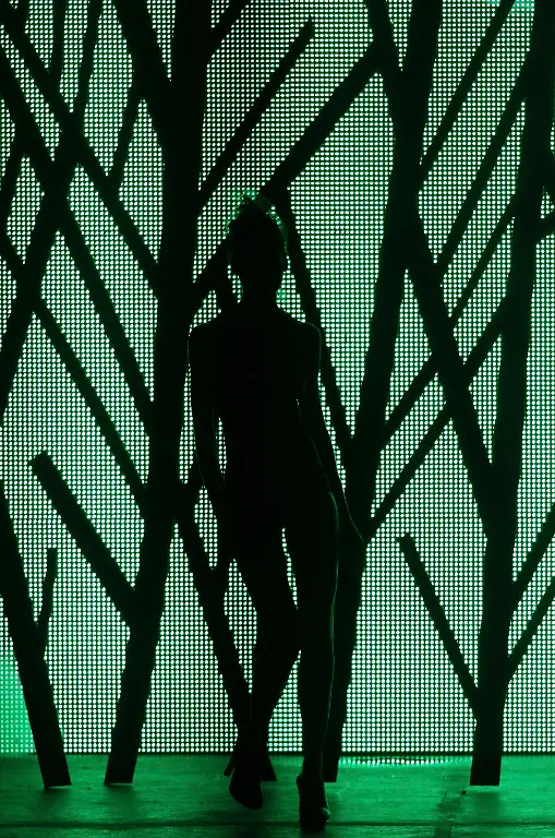 Brazil-Fashion-XSI101-jpg8847149550605466113