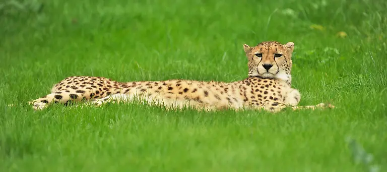 2r6b4713-jpg2326539002924329303