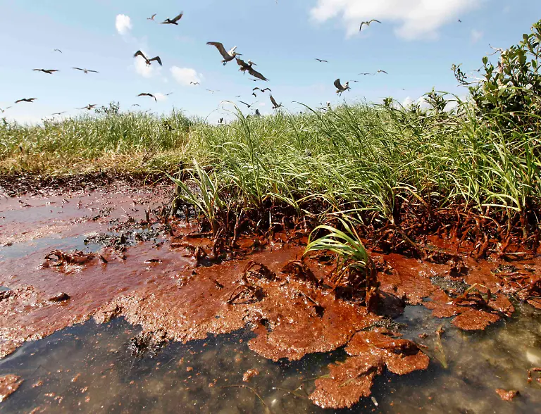 Gulf-Oil-Spill-LAGH102-jpg1826130809998816021