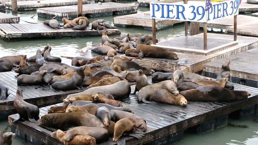 2r4y0418-jpg772223471959109260