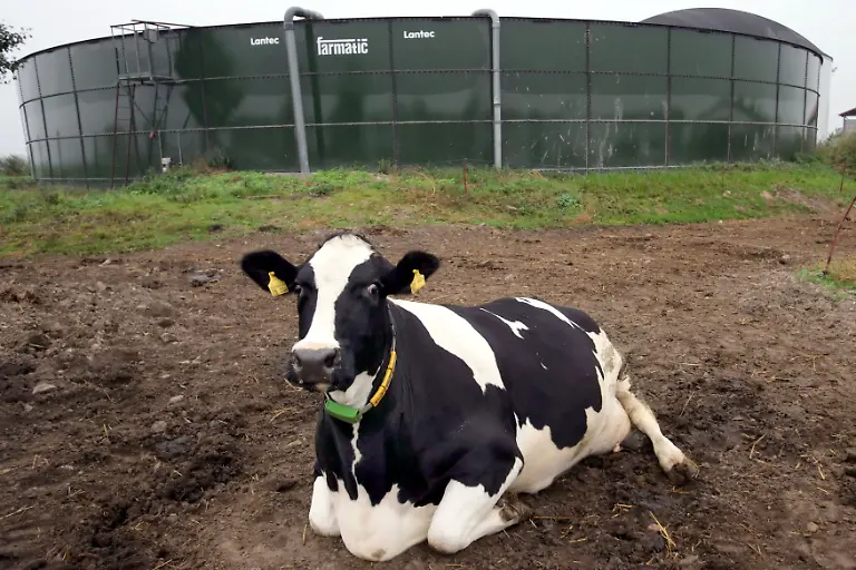 biogas