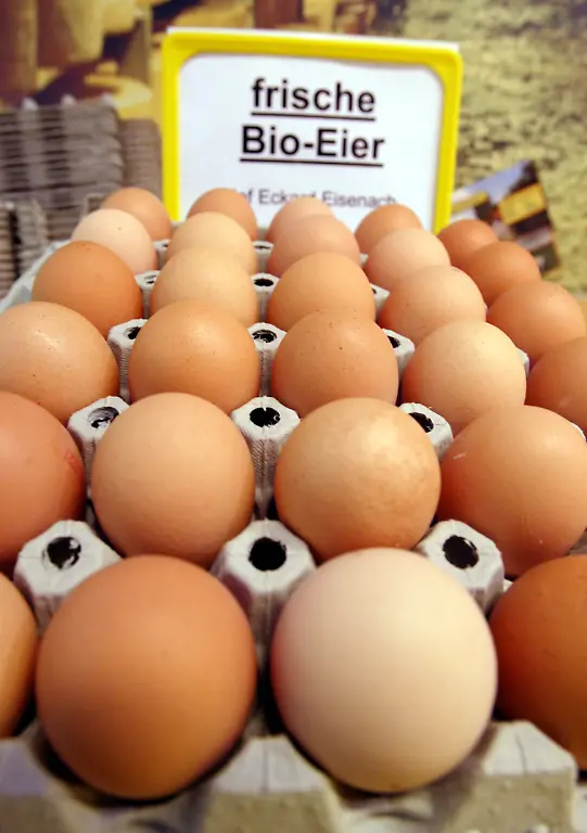 eier