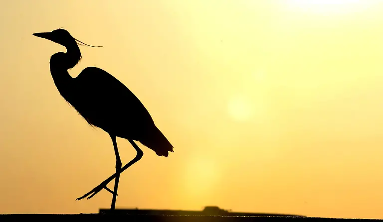 2qwe5821-jpg7435484907700747936